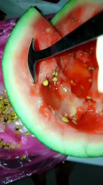 吃瓜不想吐籽,籽儿不扰心——吃瓜新体验