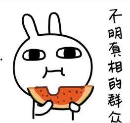 搞笑吃瓜订阅号,笑料横生，揭秘娱乐圈那些事儿！